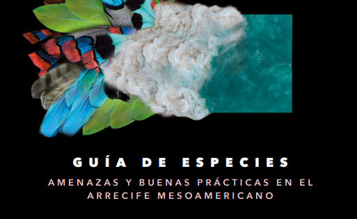 Guia-ESPECIES-Amigos-de-Sian-Kaan_2022-pdf